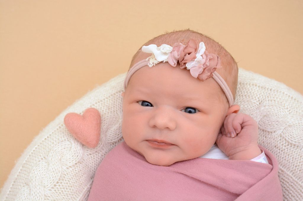 Ebby Rose
