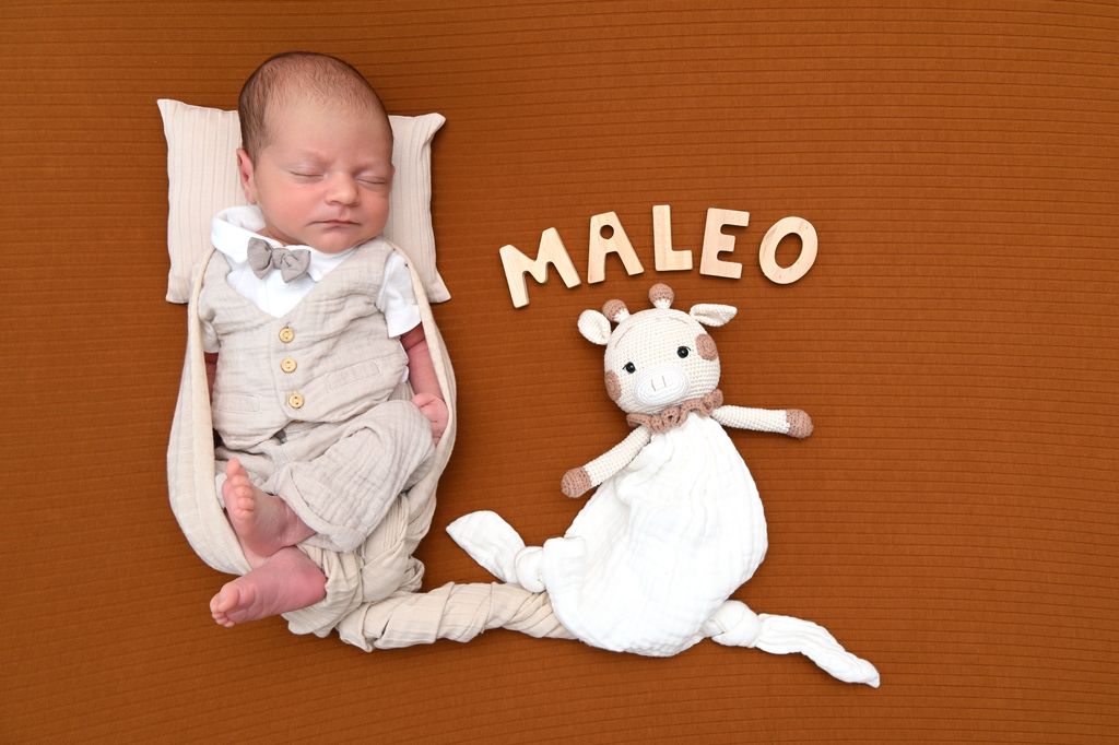 Maleo