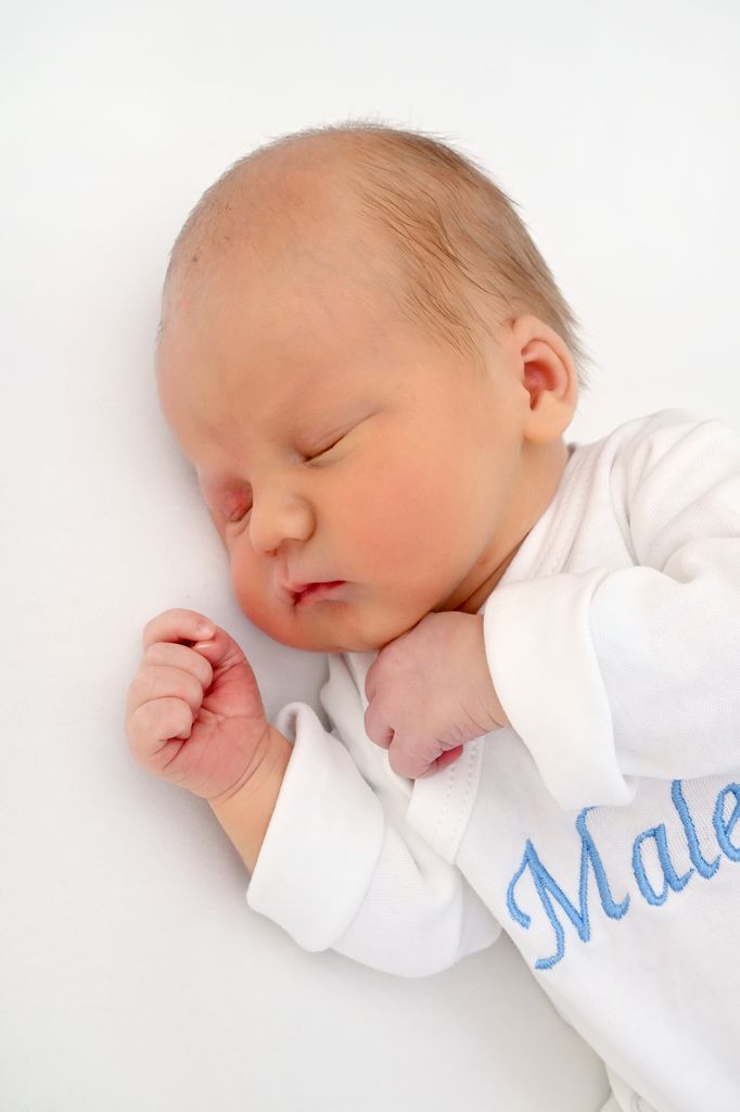 Maleo