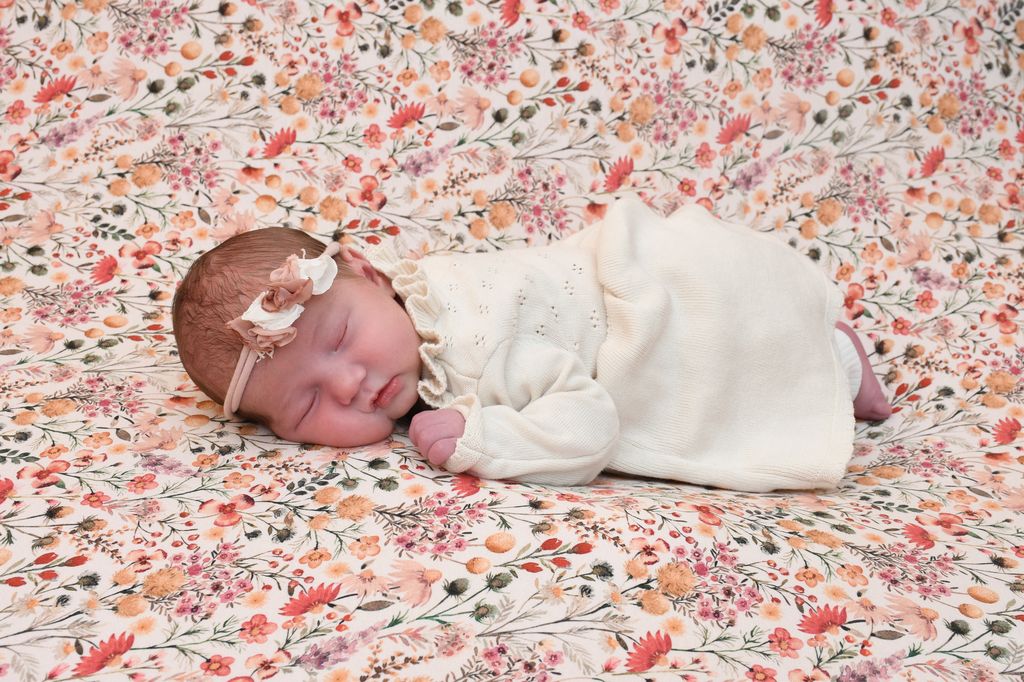 Aurelia