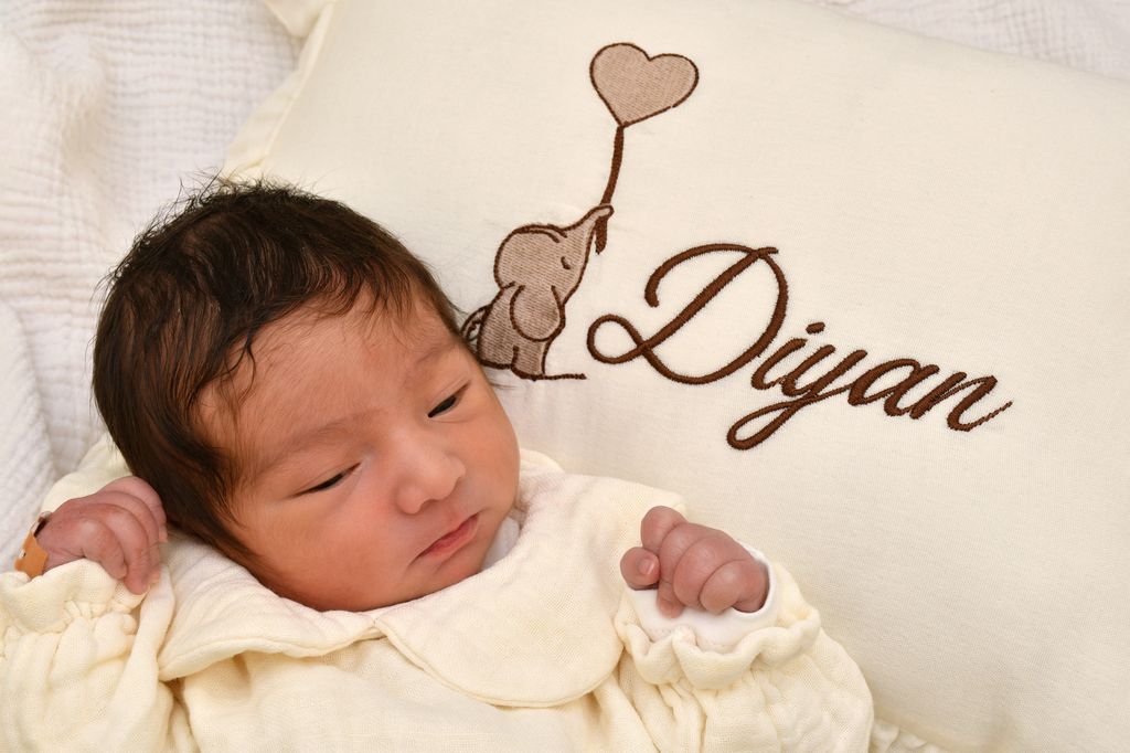 Diyan