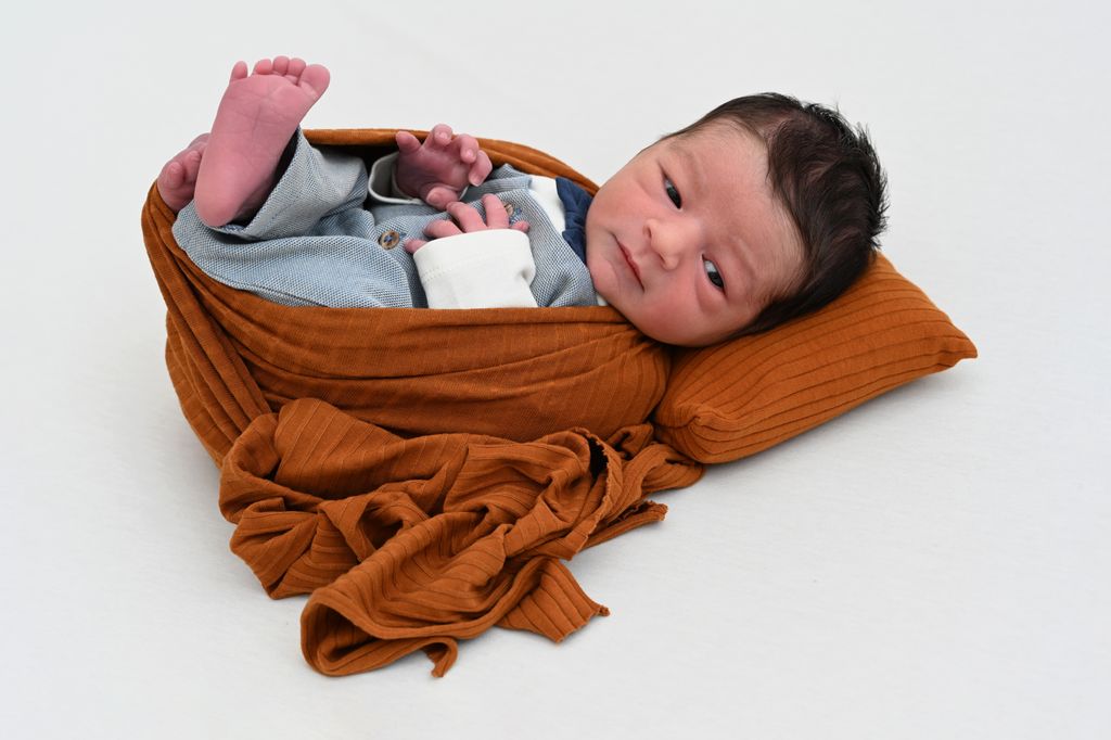 Anas