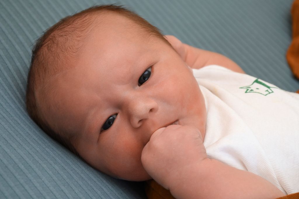 Theo
