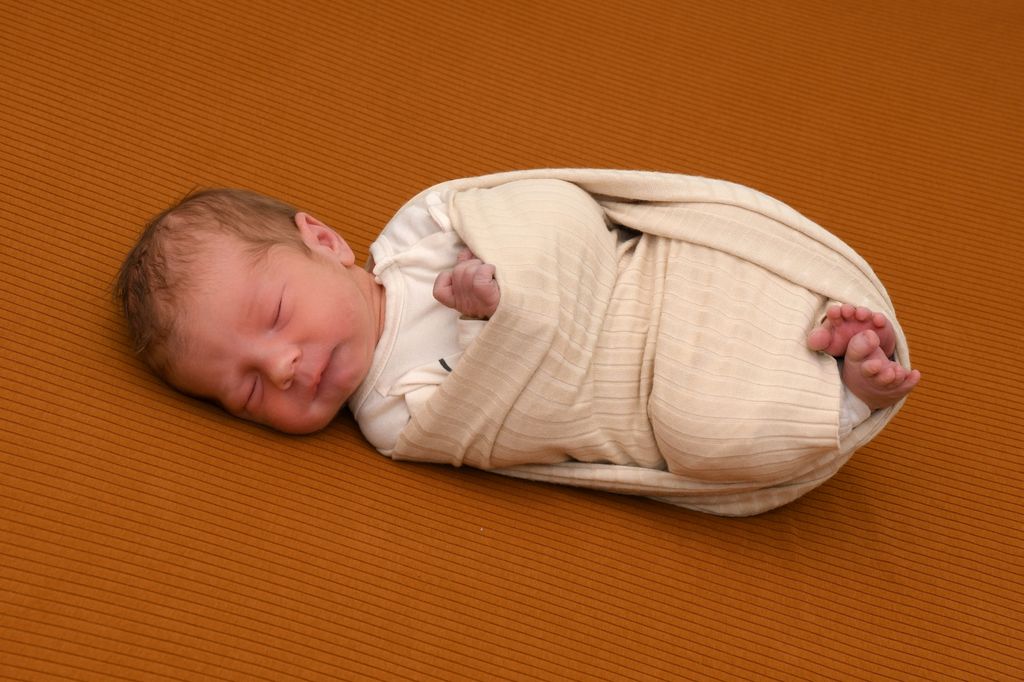 Leon Maximilian