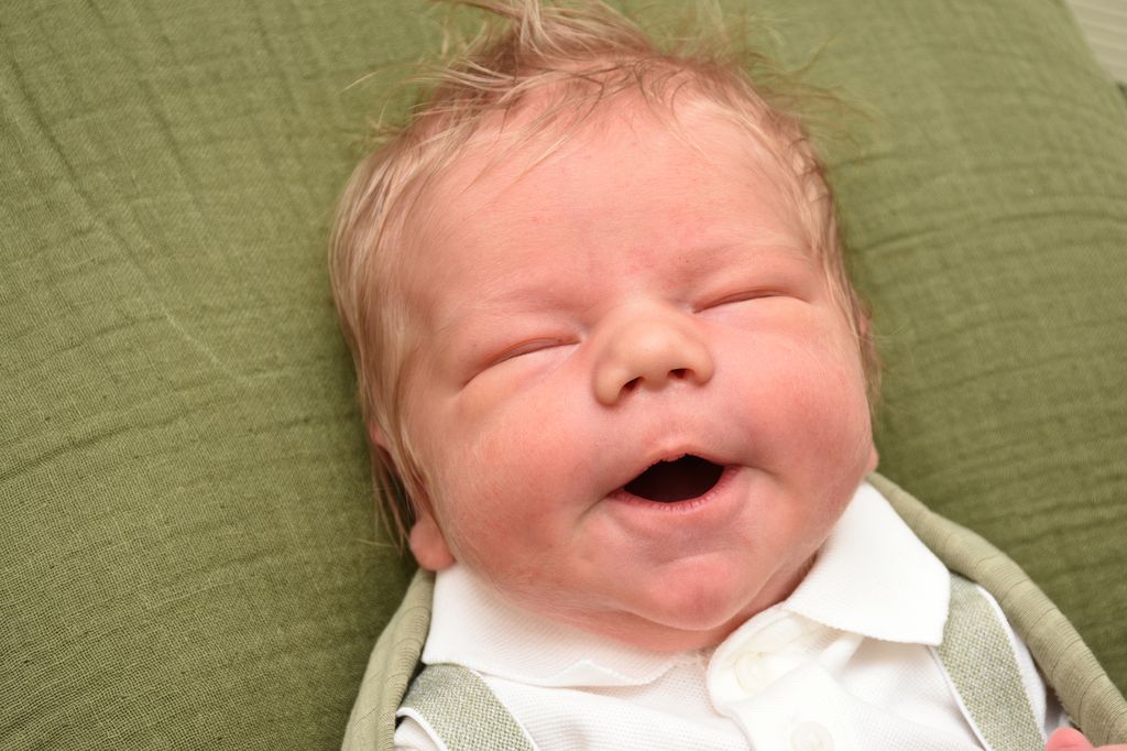 Noah Alexander