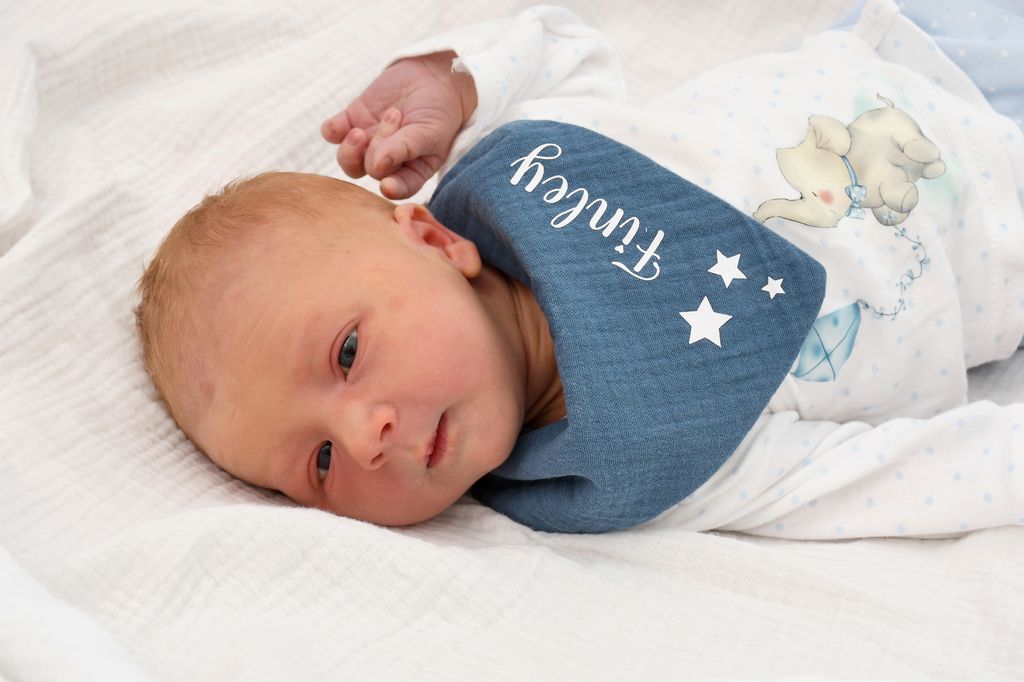 Finley
