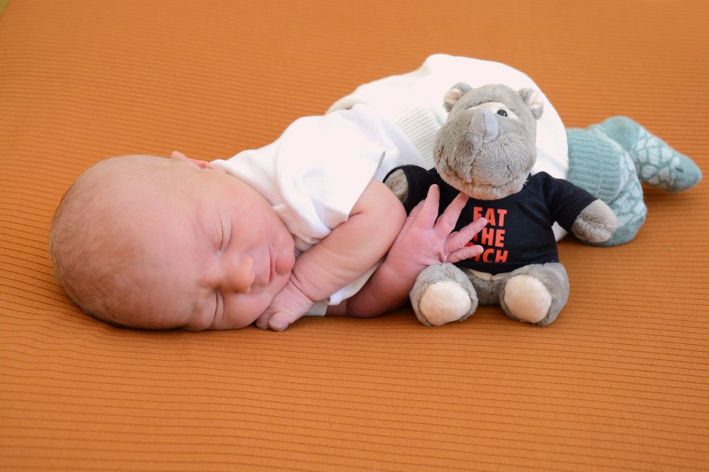 Noah-Emil