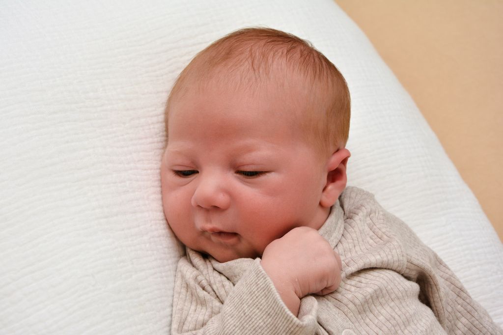 Raphael Alexander