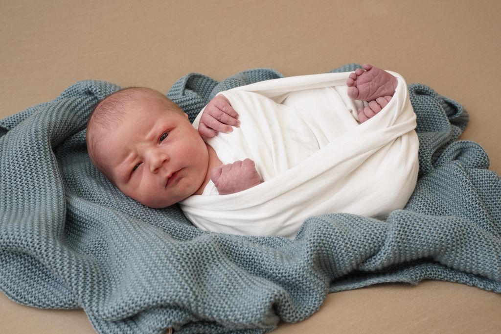 Bela Noah