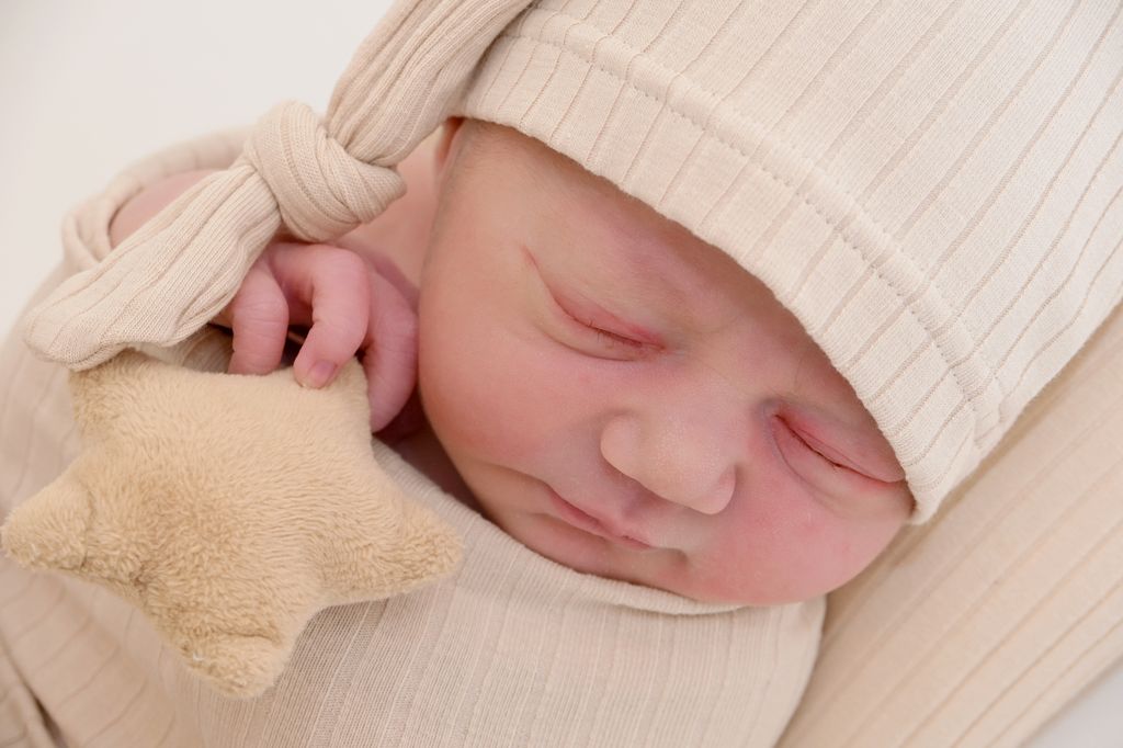 Aurelia