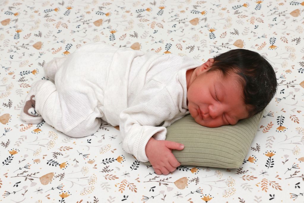 Seyit Aras