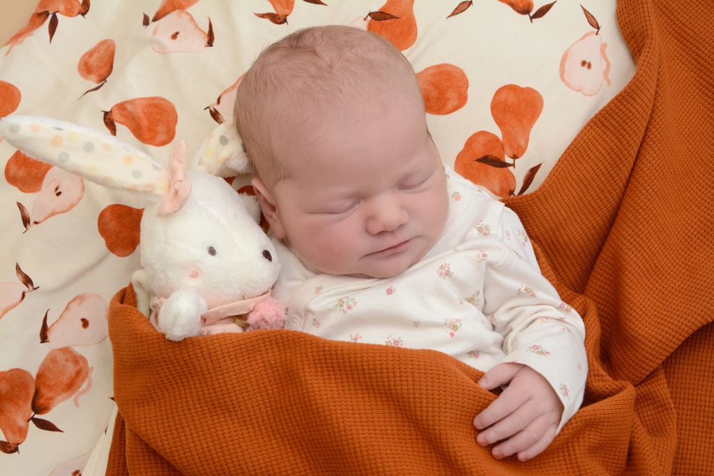 Evie