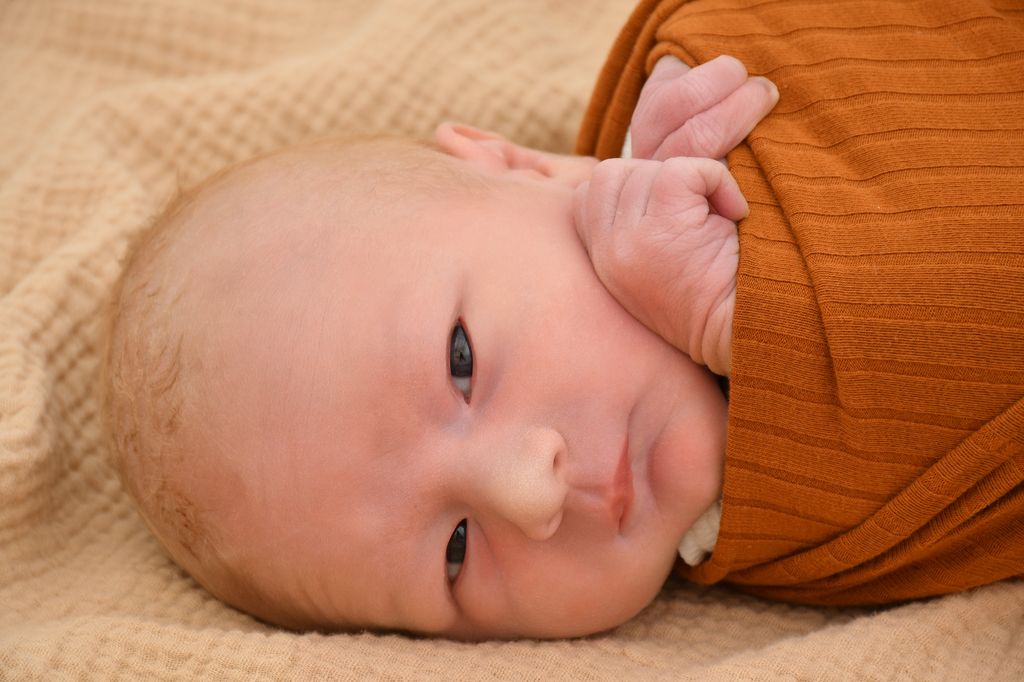 Jonah Alwin