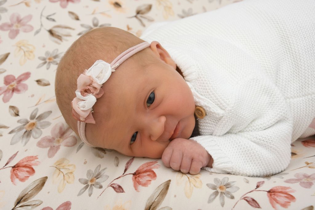 Nuriel Fay