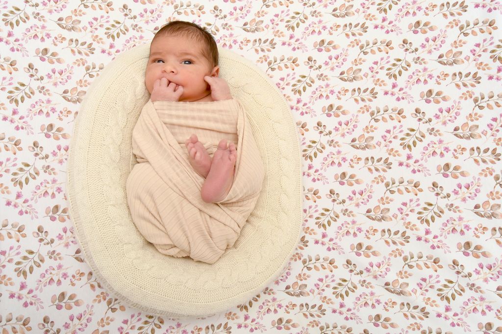 Aurelia