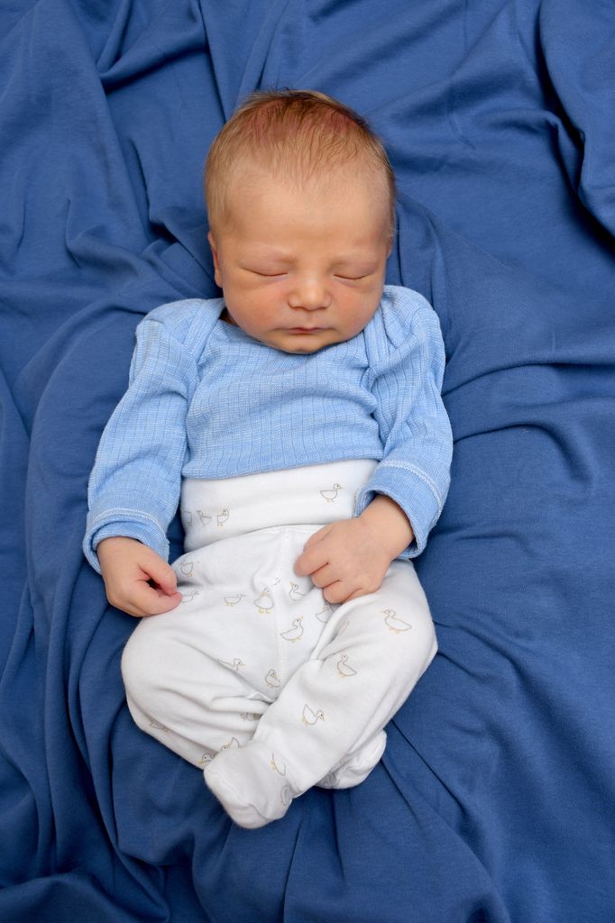 Finn