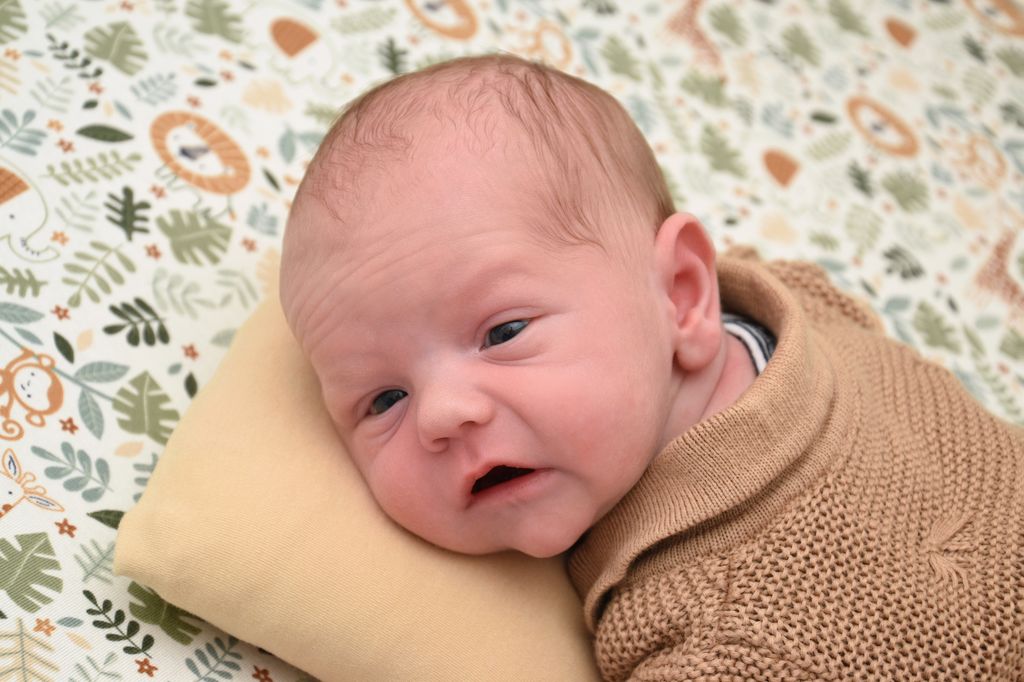 Ben Maximilian