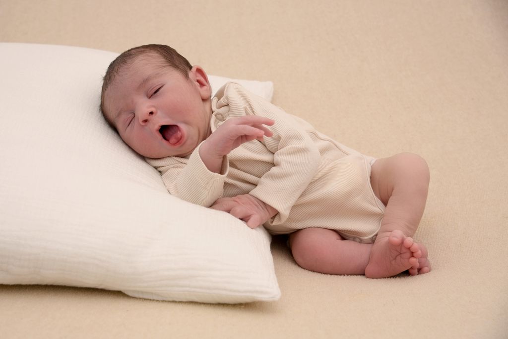 Zeyn