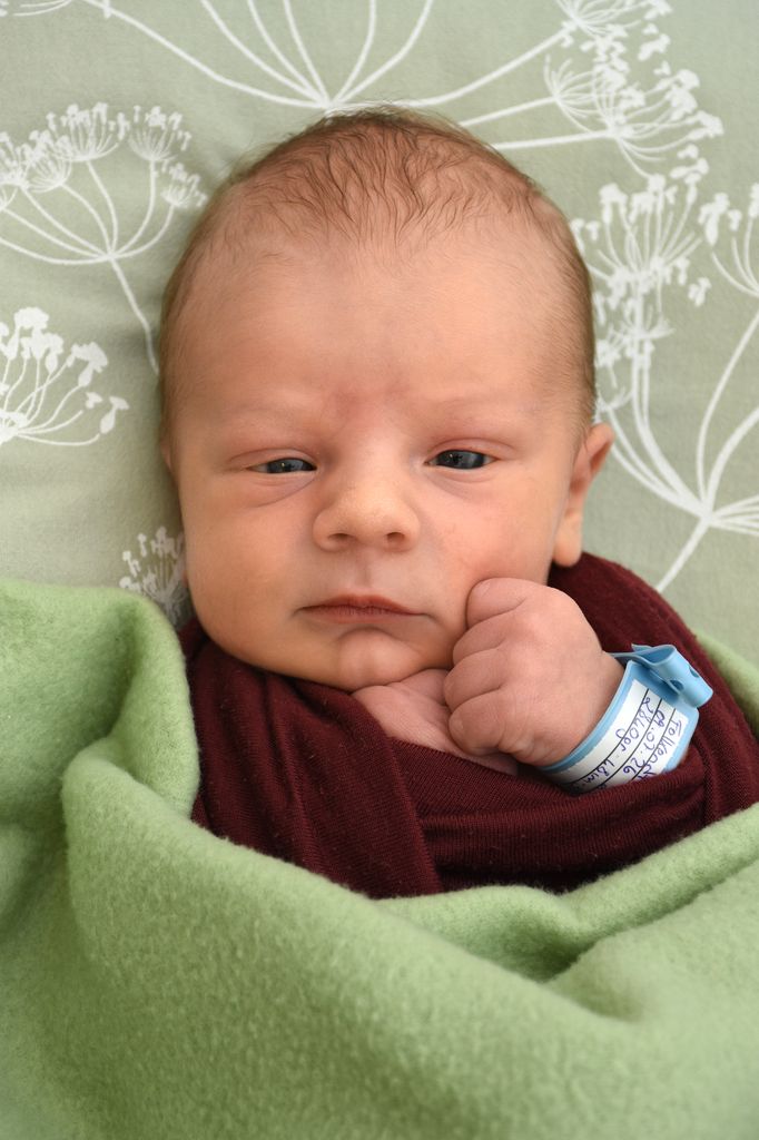 Finn