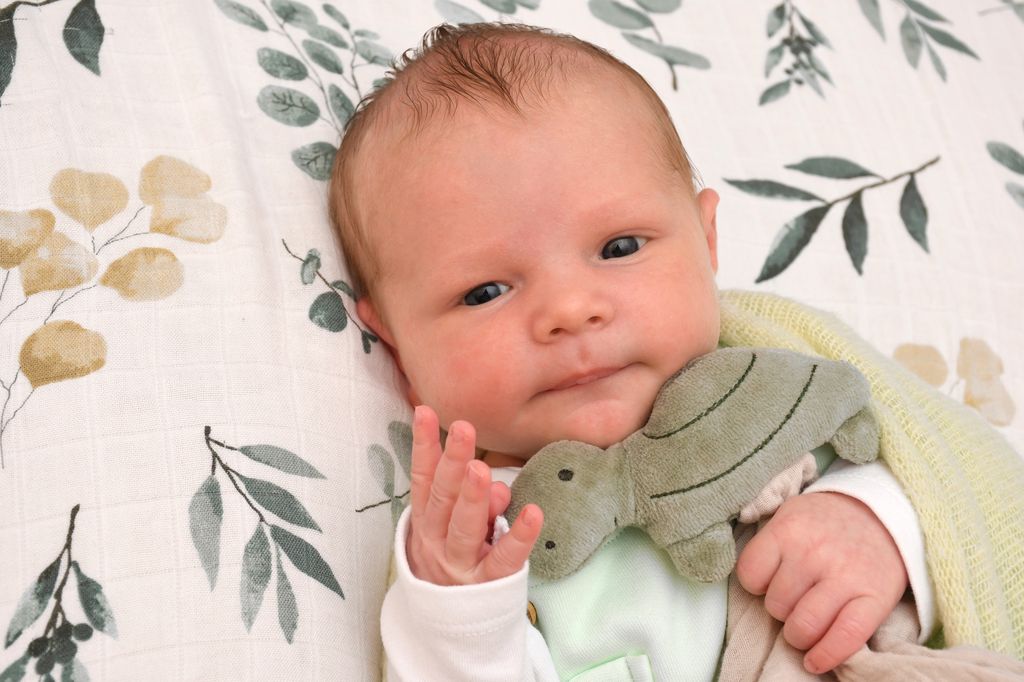 Mason