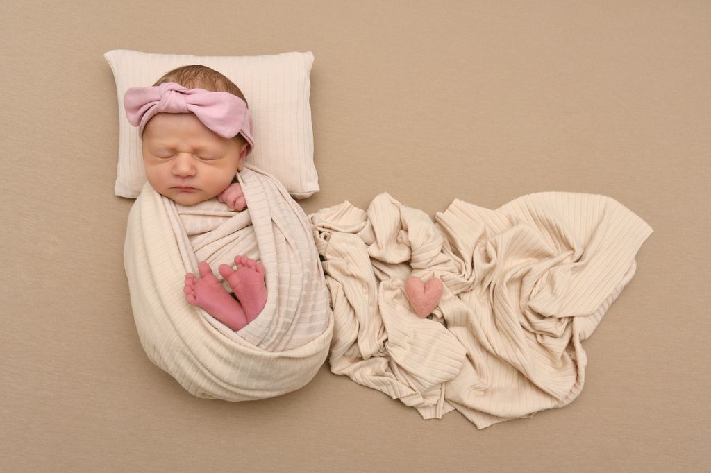 Quinn Frances