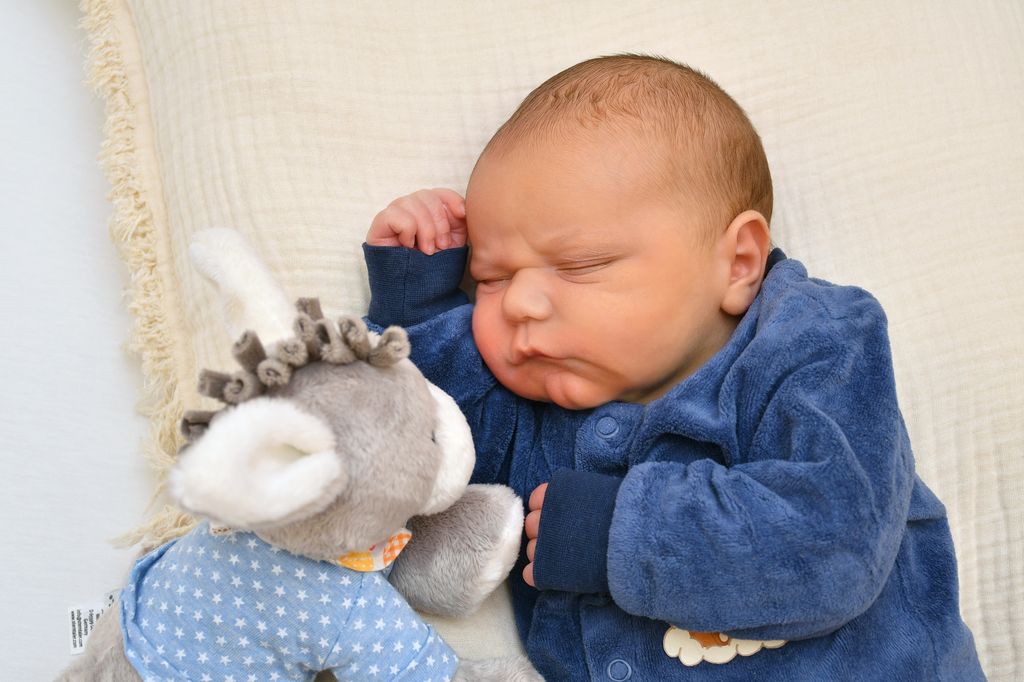 Mason