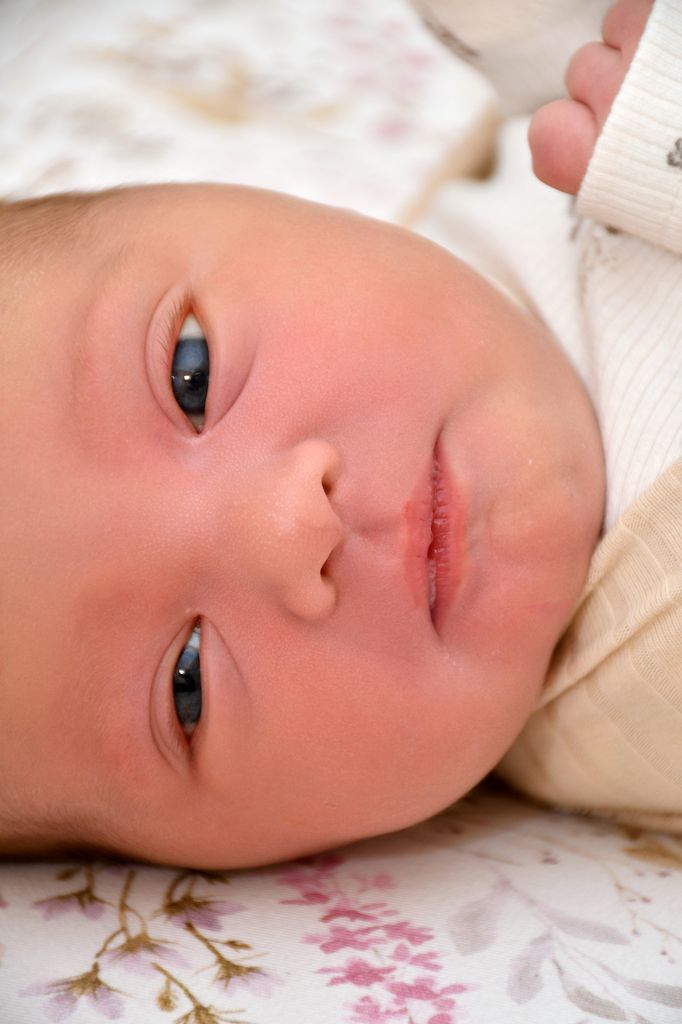 Liviana