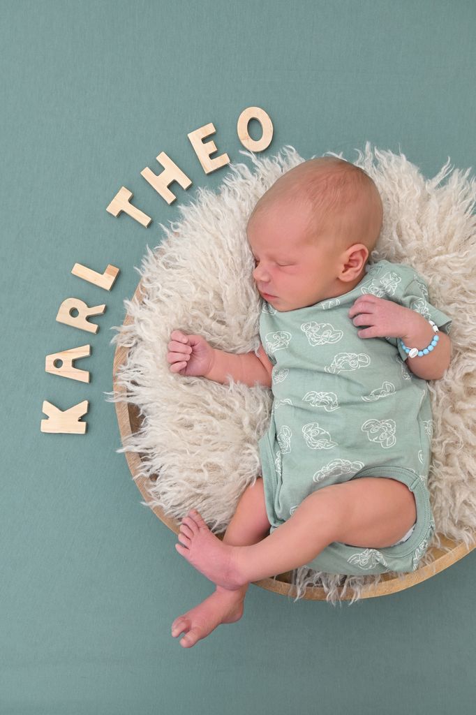 Karl Theo