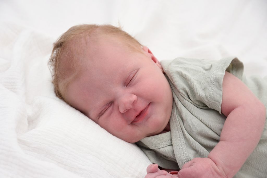 Olivia Rosa Ignis