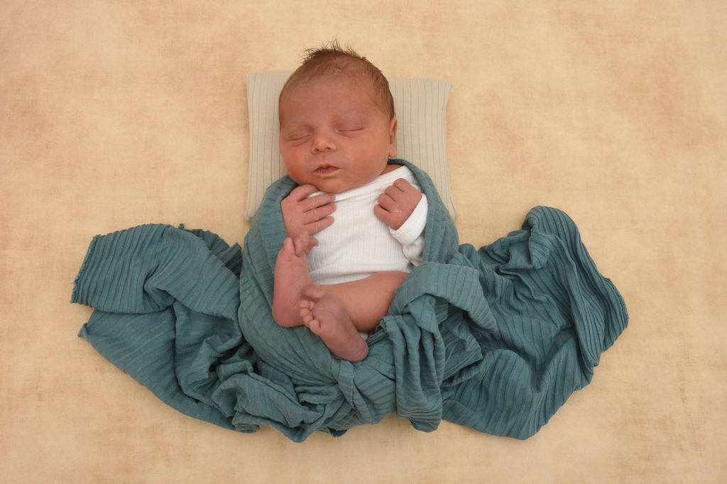 Theo Karl Roland