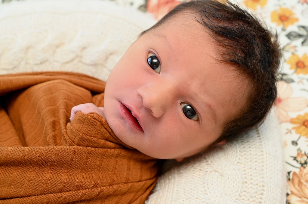 Hamza Hêz
