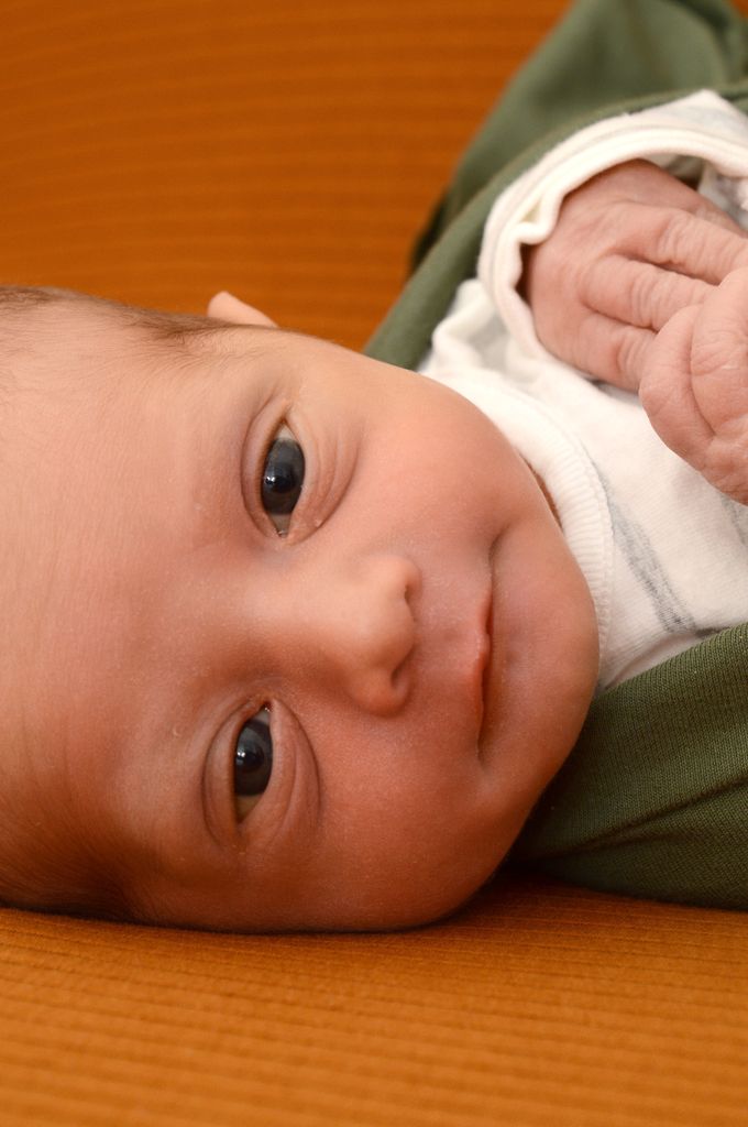 Luca Paul