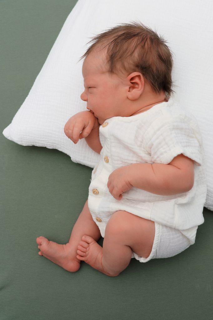 Mateo