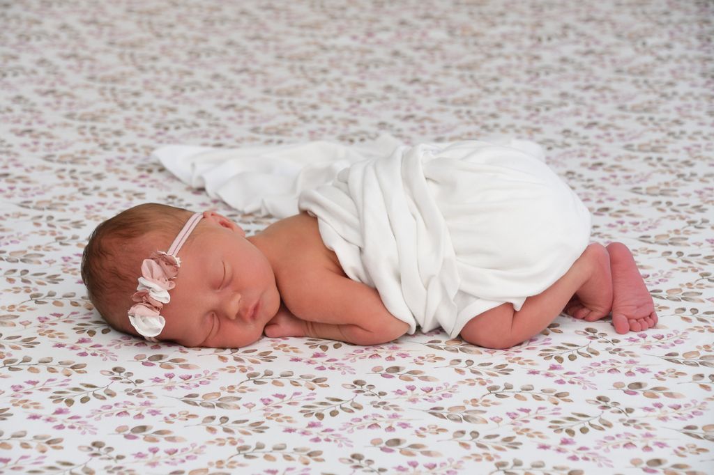 Aurelia