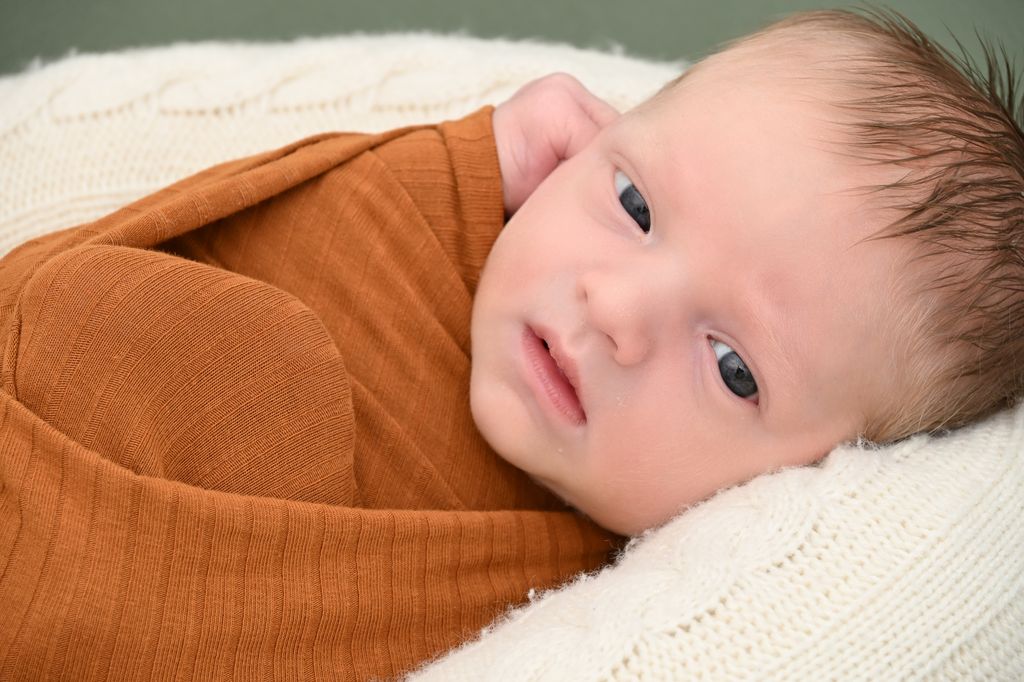 Levi