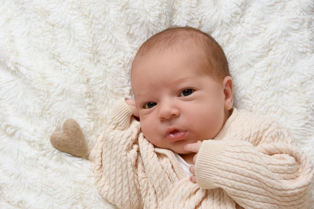 Noah