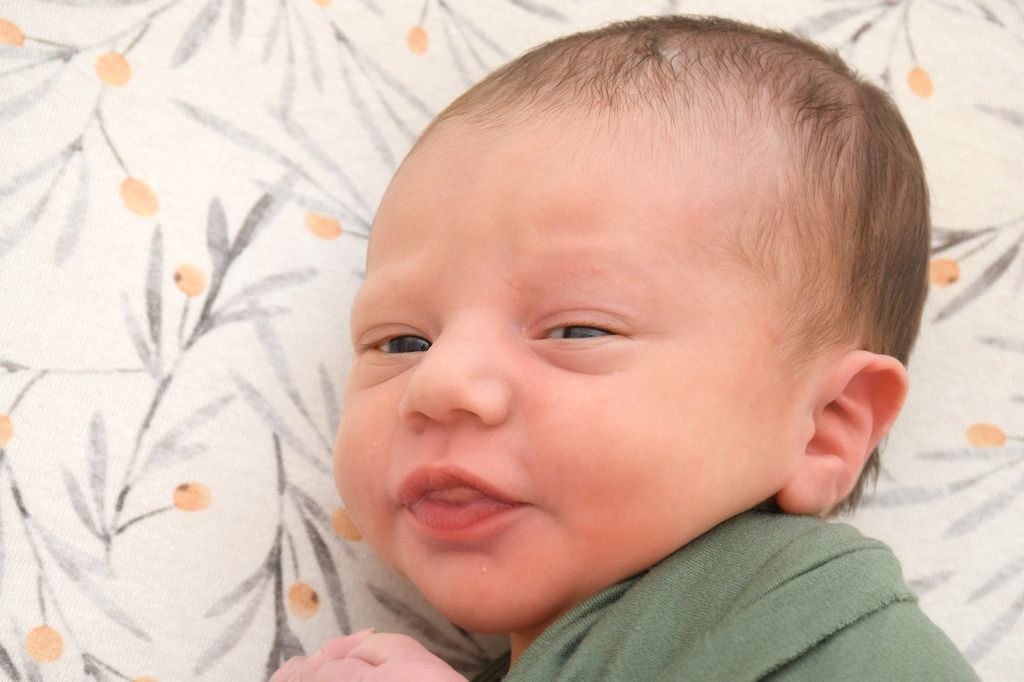 Levi Michael