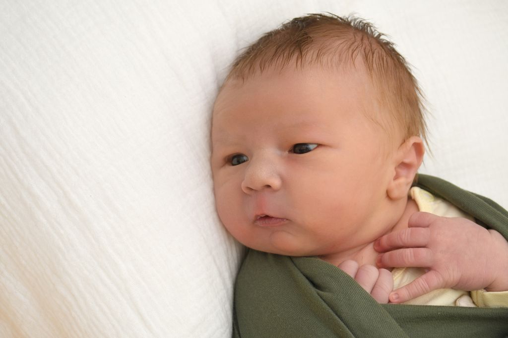 Jakob