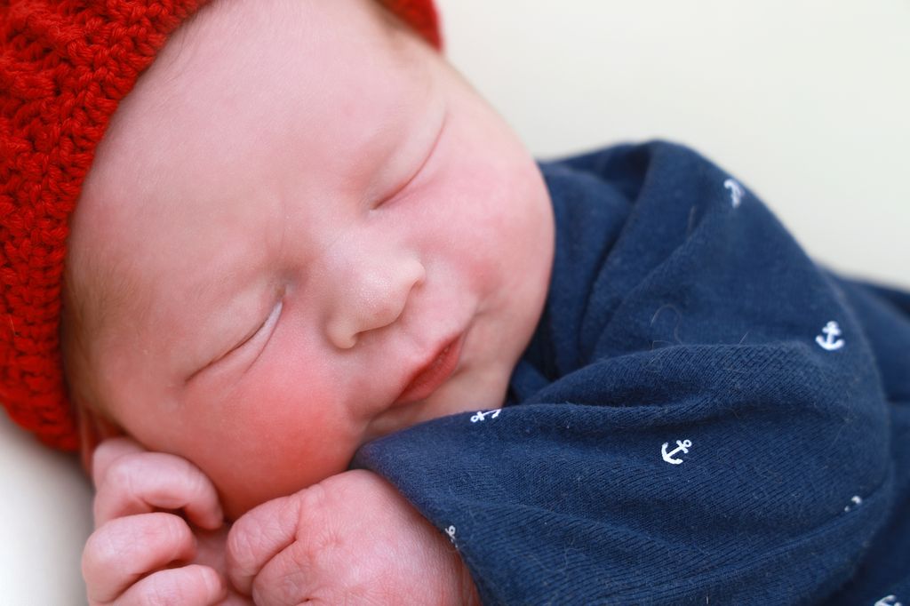 Levi Robert
