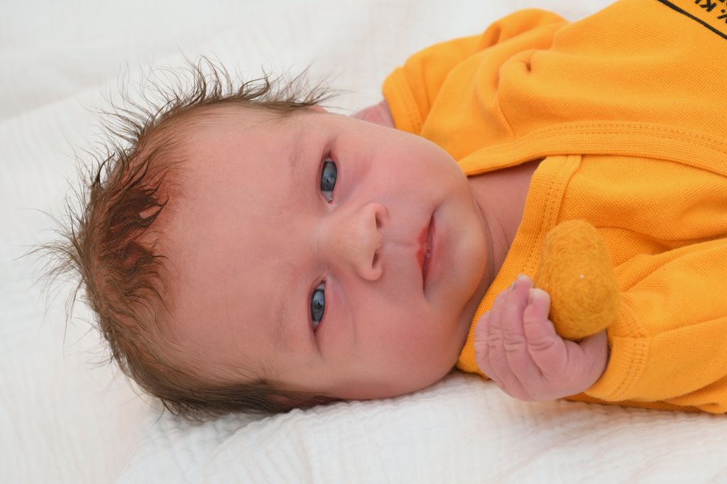 Theo Carlo