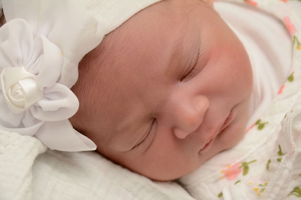 Lilav