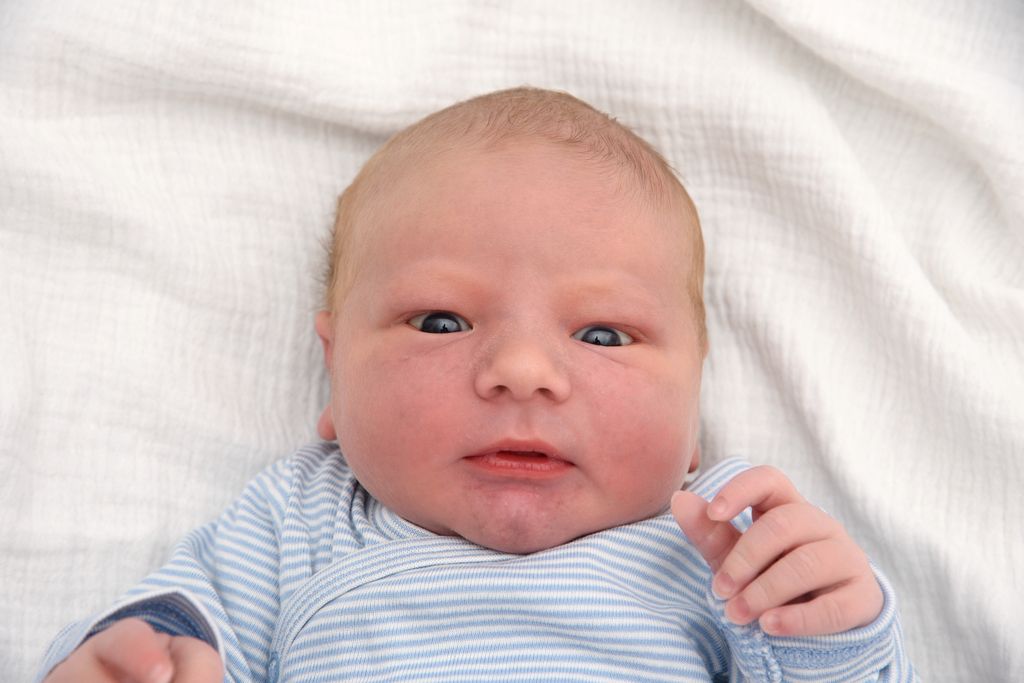 Jake Andrew