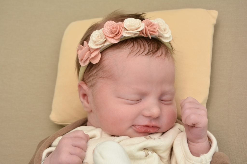 Carlotta