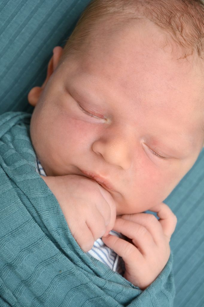 Linus Konrad