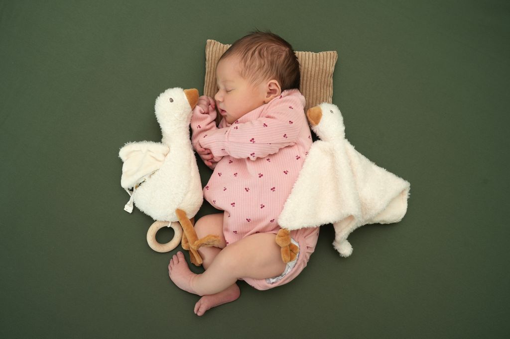 Livia