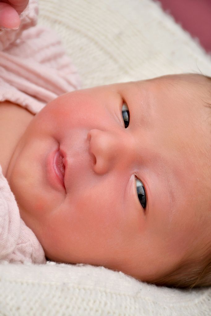 Aurelia
