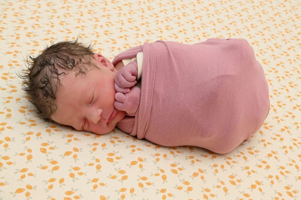 Amira