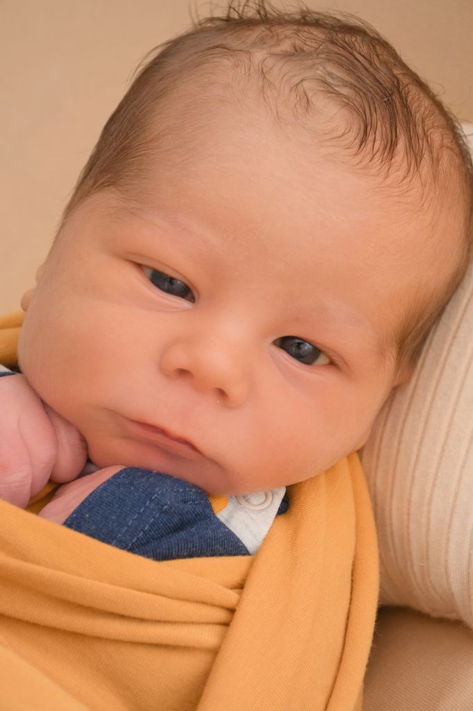 Levi