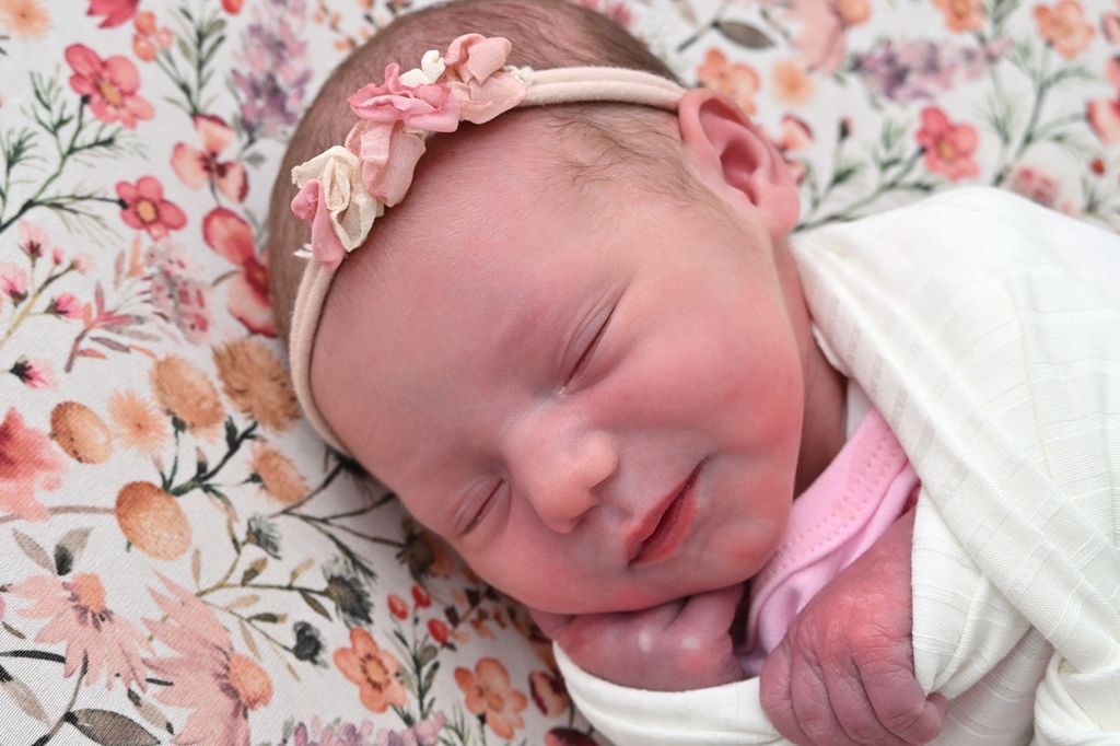 Malou Rose