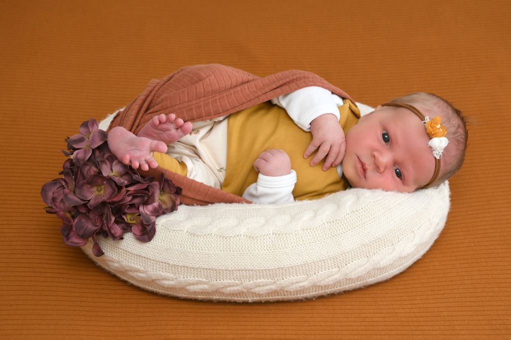 Frieda
